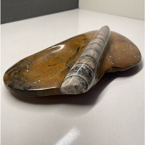 Vintage Orthoceras Squid Fossil Polished Trinket Coin Tray 10.5” EXCELLENT.